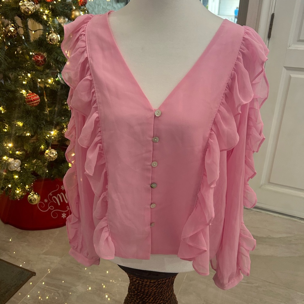 Zara Pink Ruffle Button-Up Blouse